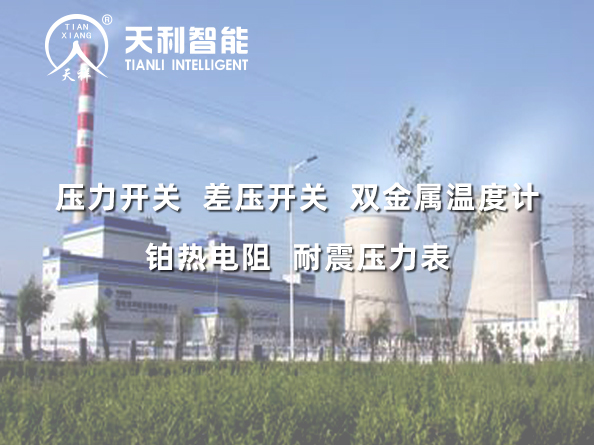 國(guó)電吉林龍華長(zhǎng)春熱電一廠2*350MW超臨界機(jī)組給水