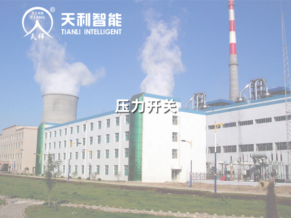 山東魏橋鋁電有限公司長(zhǎng)山熱電廠4*330MW機(jī)組