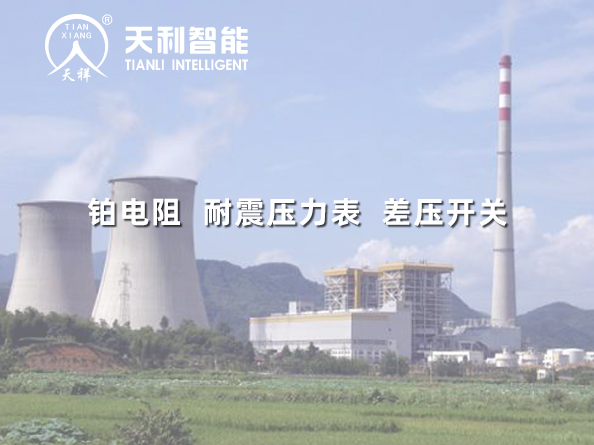 華潤電力溫州有限公司一期2*1000MW燃煤超超臨界機